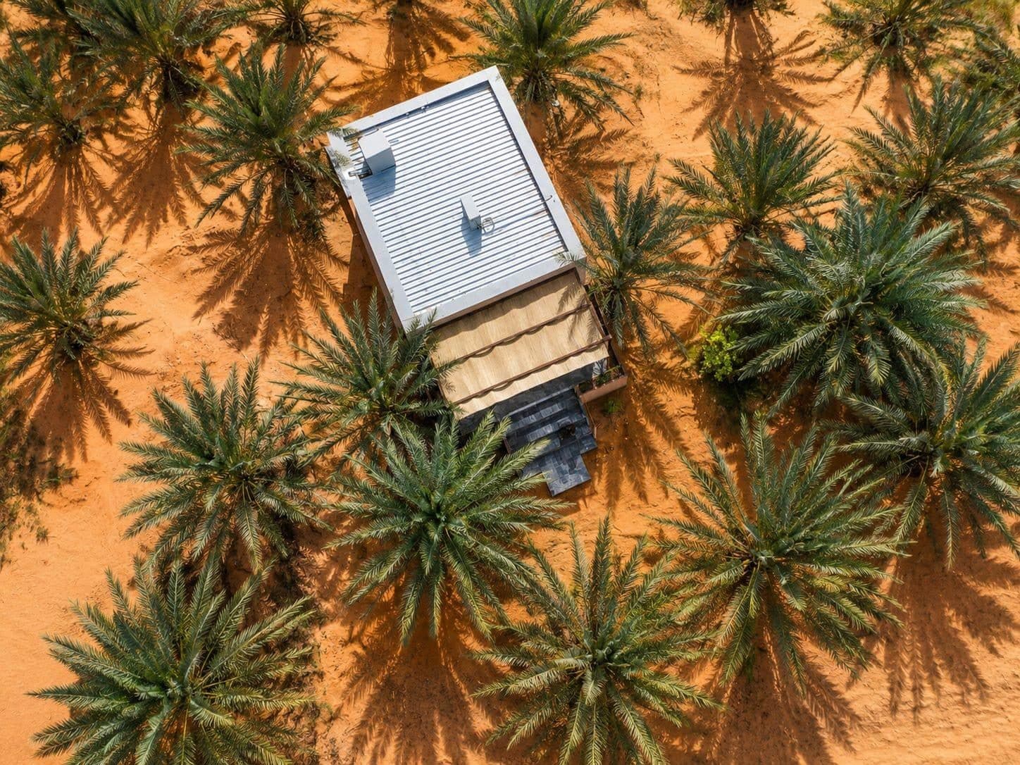 Palm Houses